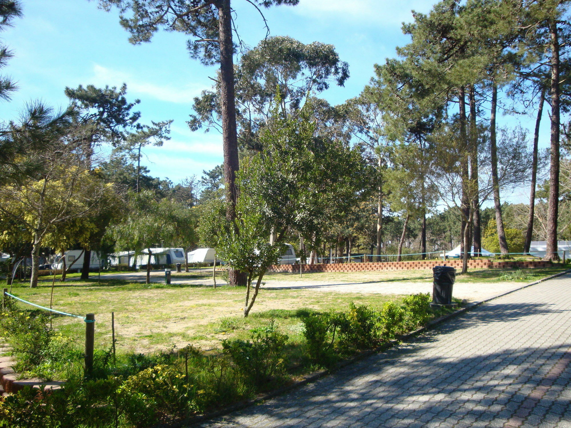 Orbitur Caminha Bungalows - Caravan Park Exterior photo